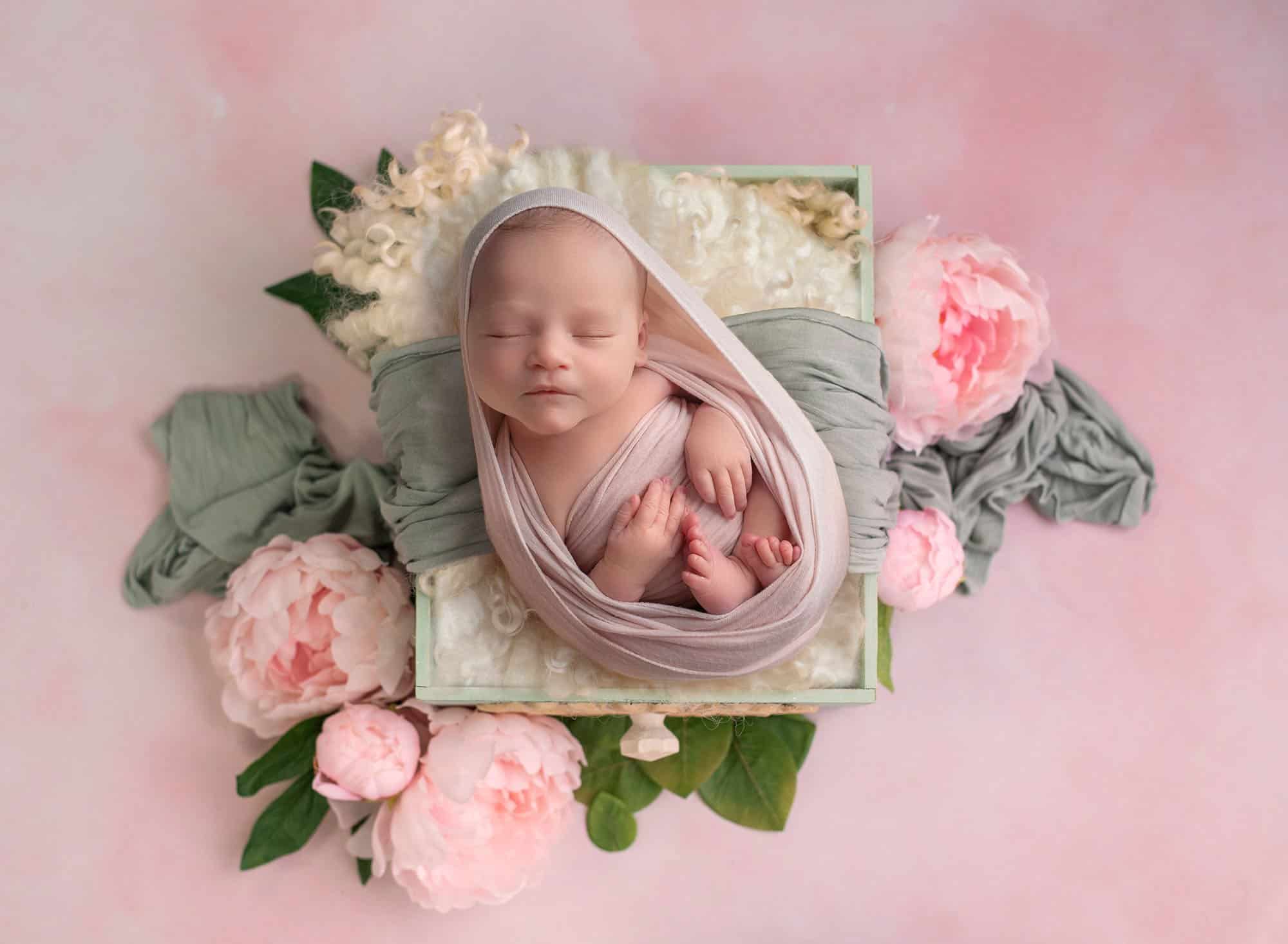 newborn photography new haven, ct