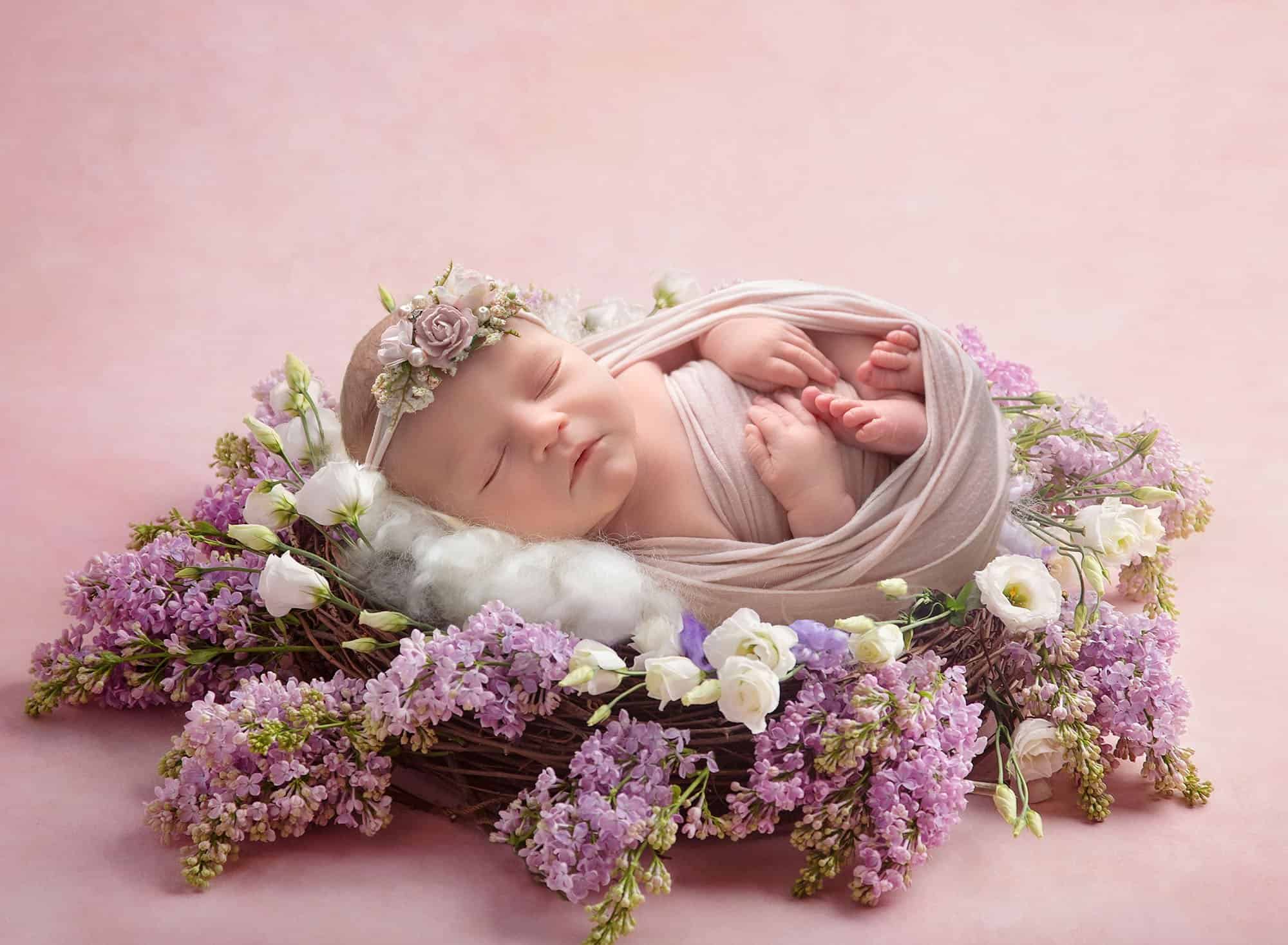 newborn photography new haven, ct