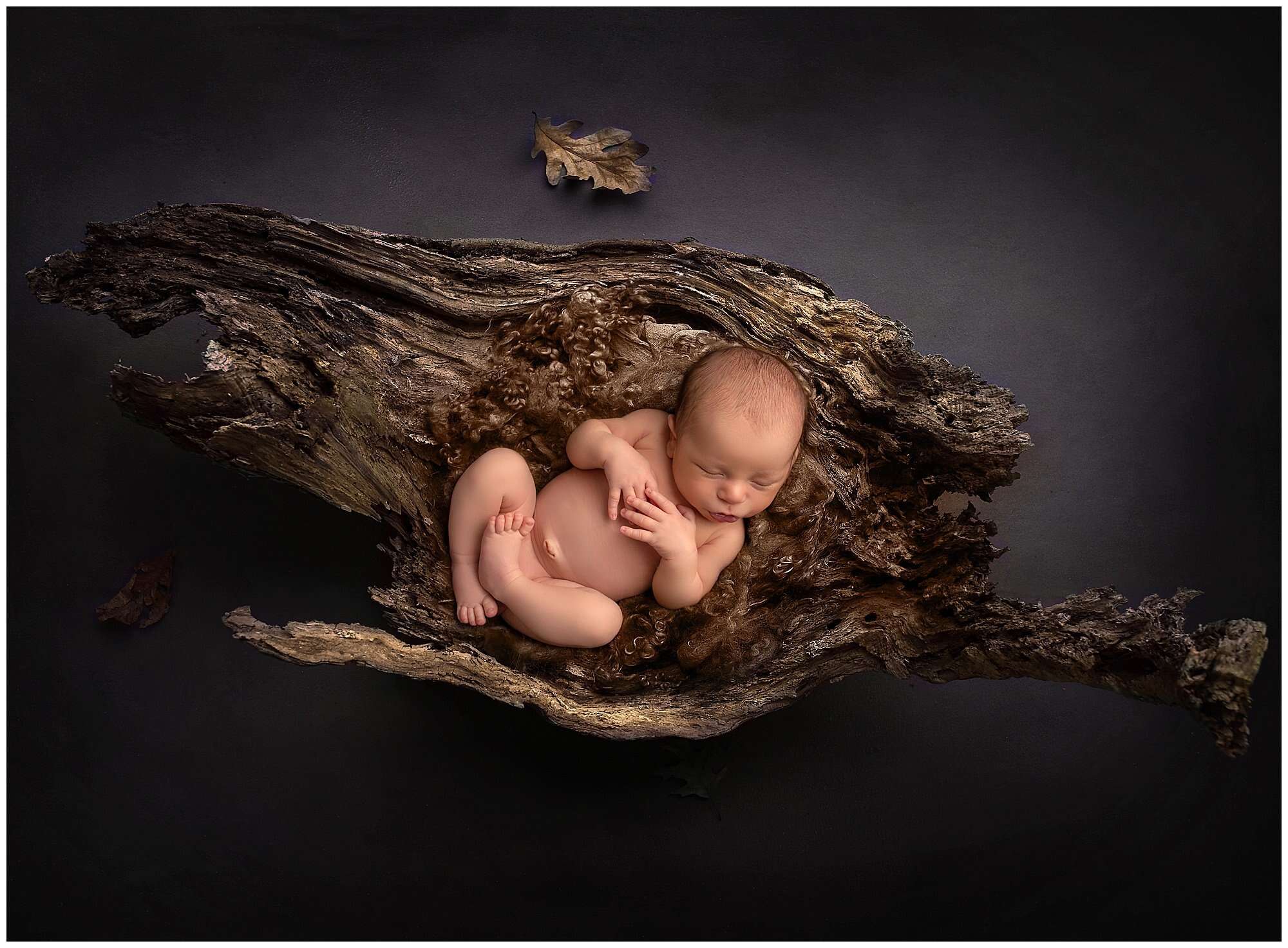 Zane ~ Second Child Newborn Photo Session