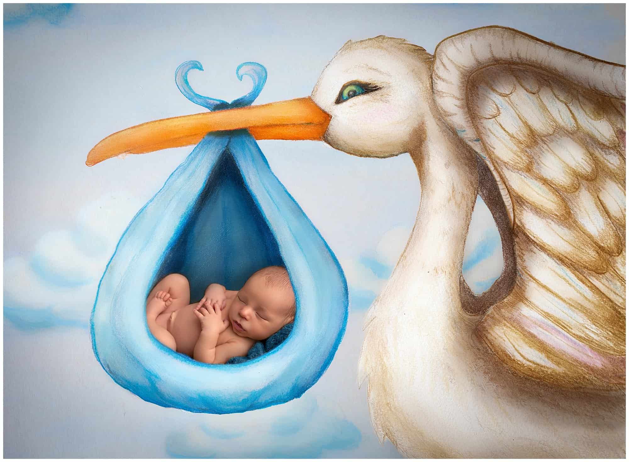 Zane ~ Second Child Newborn Photo Session