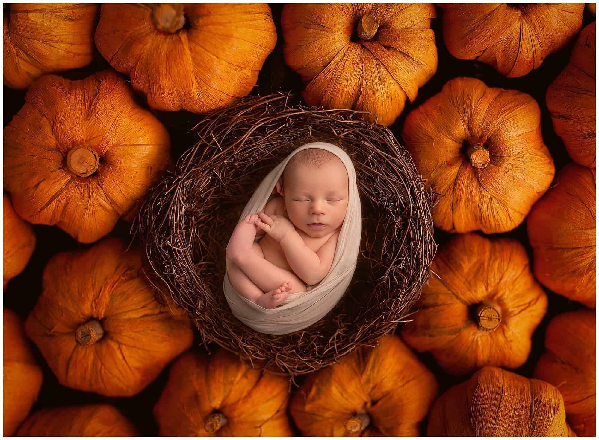 Zane ~ Second Child Newborn Photo Session