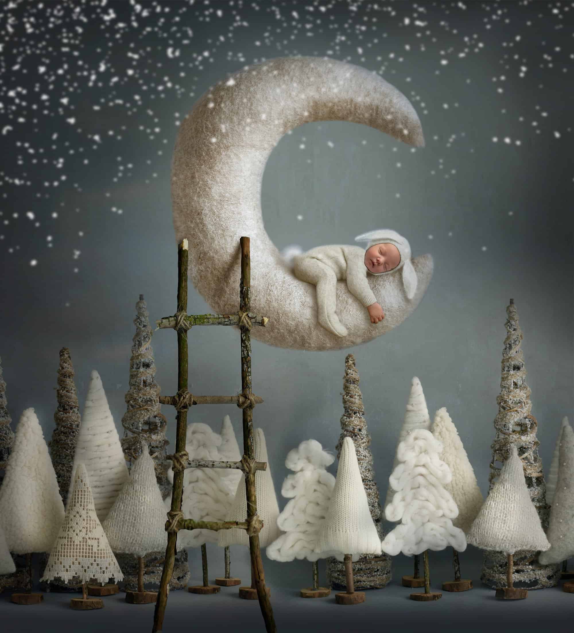 posed newborn photography